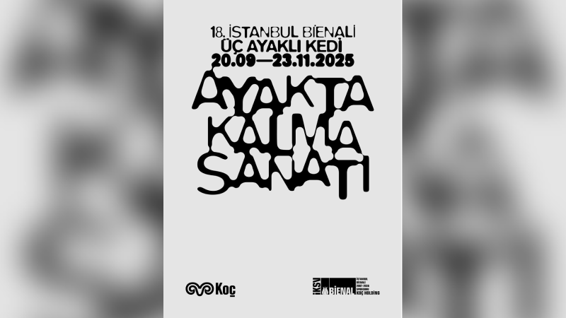 Kedilerin gözünden “ayakta kalma sanatı” Kedilerin gözünden “ayakta kalma sanatı”