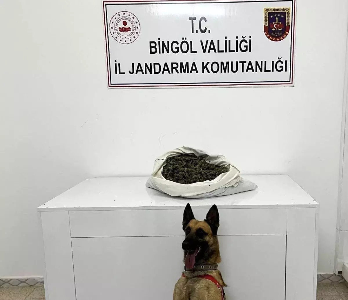 Bingöl’de Jandarma Operasyonu: 2 Kilo 802 Gram Esrar Ele